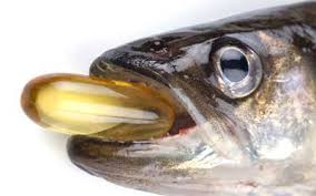 मछली का तेल सर्जरी के दौरान घटाता है रक्तस्राव का जोखिम