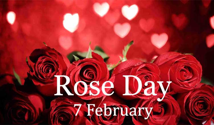 Valentine Week: Rose Day के लिए खास मैसेजेस, शुरुआत करें इन प्यार भरें SMS के साथ