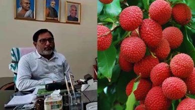 मुजफ्फरपुर: क्या लीची खाने से होता है चमकी बुखार? देखें, राष्ट्रीय लीची शोध केंद्र के डायरेक्टर डॉ विशाल नाथ का इंटरव्यू