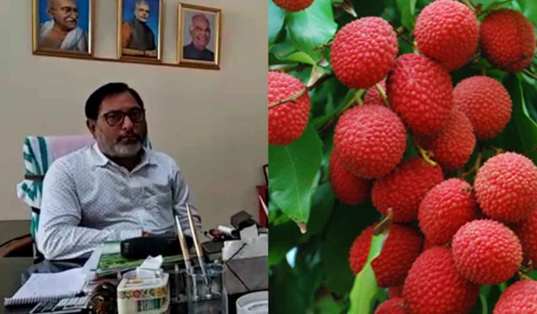 मुजफ्फरपुर: क्या लीची खाने से होता है चमकी बुखार? देखें, राष्ट्रीय लीची शोध केंद्र के डायरेक्टर डॉ विशाल नाथ का इंटरव्यू
