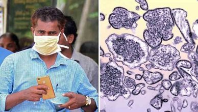 केरल में फिर से कहर बरपा सकता है निपाह वायरस, जानें इसके लक्षण और बचाव के बारे में...