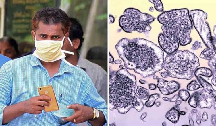 केरल में फिर से कहर बरपा सकता है निपाह वायरस, जानें इसके लक्षण और बचाव के बारे में...