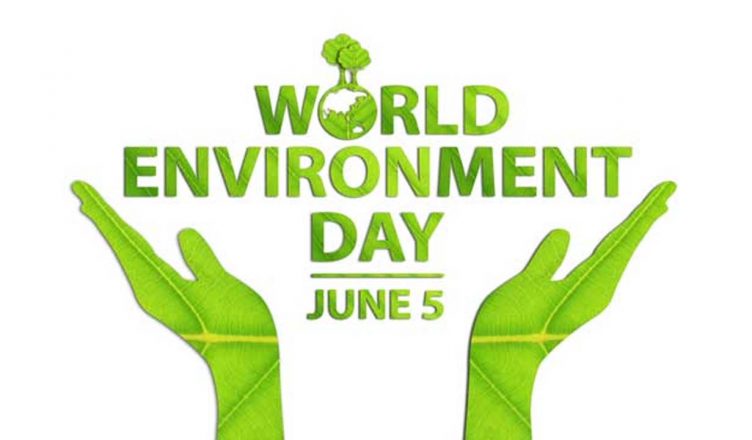 World Environment Day 2019: क्यों मनाया जाता है 'विश्व पर्यावरण दिवस'? जानिए इसका इतिहास