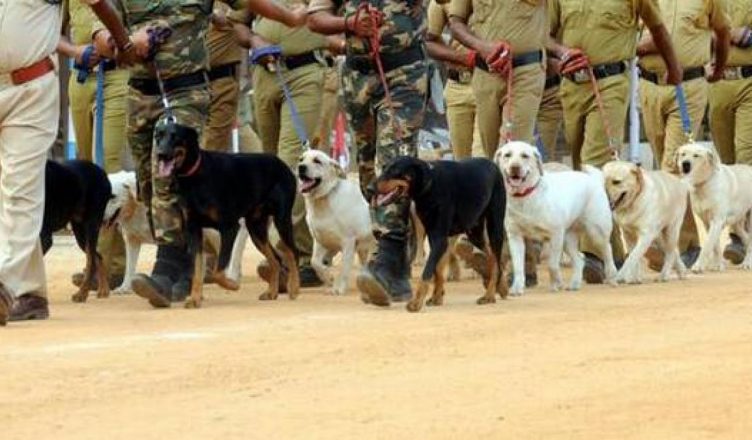 मध्य प्रदेश: 'कुत्तों के तबादले' पर कांग्रेस-बीजेपी में तकरार, जानें क्या है मामला
