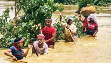 बिहार: सड़कों पर दिन काटने को मजबूर हैं बाढ़ पीड़ित, पशुओं को लेकर परेशान