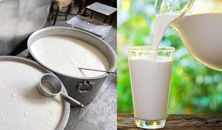 मध्य प्रदेश: मिलावटी दूध और उत्पाद बनाने वालों के खिलाफ सरकार सख्त, रासुका के तहत होगी कार्रवाई