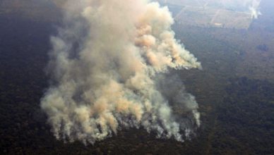 अमेजन में आग: ब्राजीलियाई राष्ट्रपति ने जंगलों में लगी आग से निपटने के लिए सेना भेजी