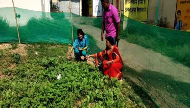 झारखंड में महिलाएं 'किचन गार्डन' से दूर कर रहीं कुपोषण