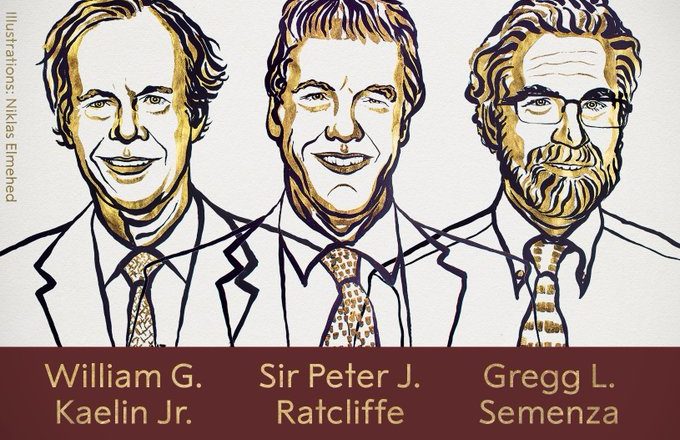 Nobel Prize 2019 : William G. Kaelin Jr, Sir Peter J. Ratcliffe और Gregg L. Semenza को संयुक्त रूप से मिला 2019 का चिकित्सा का नोबेल पुरस्कार