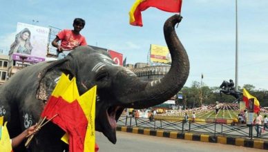 Kannada Rajyotsava 2019: कल कर्नाटक मनायेगा 64वां स्थापना दिवस, जानें इससे जुड़ा इतिहास और इसका महत्व