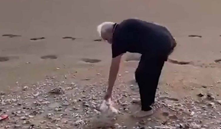 PM मोदी ने की ममल्लापुरम के समुद्र तट की साफ-सफाई, शेयर किया वीडियो