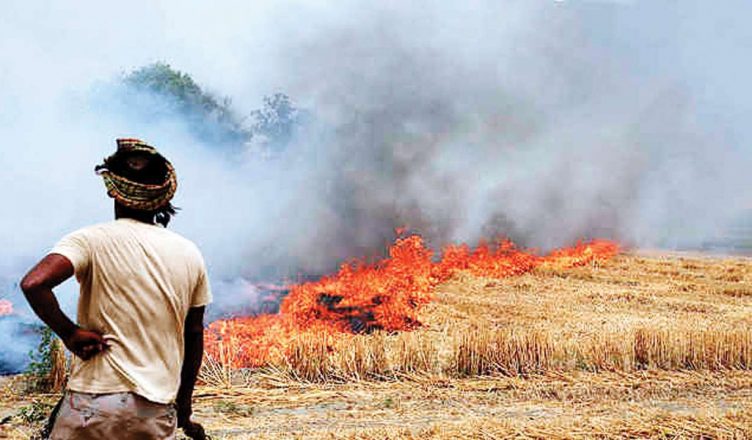 यूपी में 300 किसानों पर पराली जलाने के लिए मामला दर्ज, सड़कों पर उतरे किसान