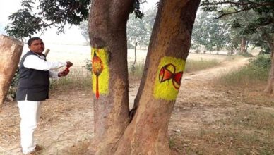 UP: गोंडा में अनोखी पहल, देवी-देवताओं के सहारे पेड़ों को बचा रहे पर्यावरण प्रेमी