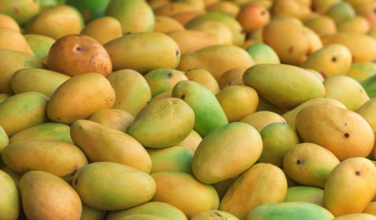 Know the right way to eat mango to lose weight