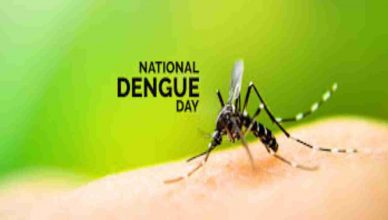 National Dengue Day 2020: राष्ट्रीय डेंगू दिवस पर जानें इस बीमारी के लक्षण, कारण और बचने के कारगर उपाय