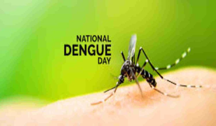 National Dengue Day 2020: राष्ट्रीय डेंगू दिवस पर जानें इस बीमारी के लक्षण, कारण और बचने के कारगर उपाय