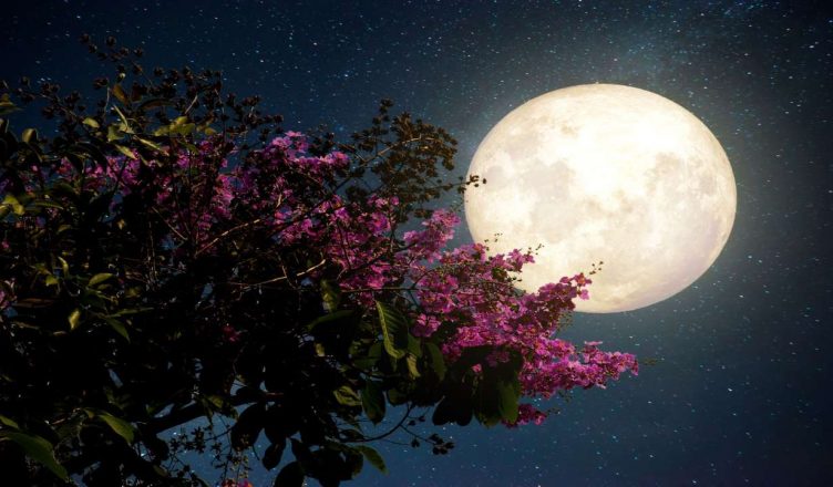 Super Flower Moon: 7 मई को दिखेगा साल का आखिरी सुपरमून, जानिए कहां और कैसे देगा दिखाई