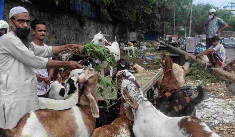 बकरीद: हैदराबाद में बकरे की ऑनलाइन बिक्री, आउटसोर्स कुर्बानी