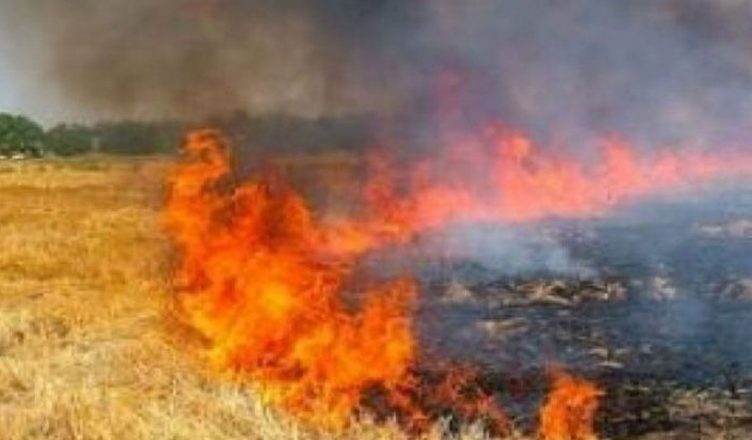 Despite farmers' strictness why do farmers burn stubble
