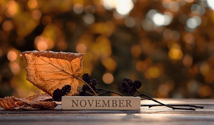 Important days in November 2020: जानें किस दिन मनाए जाएंगे मुख्य राष्ट्रीय और अंतर्राष्ट्रीय दिवस
