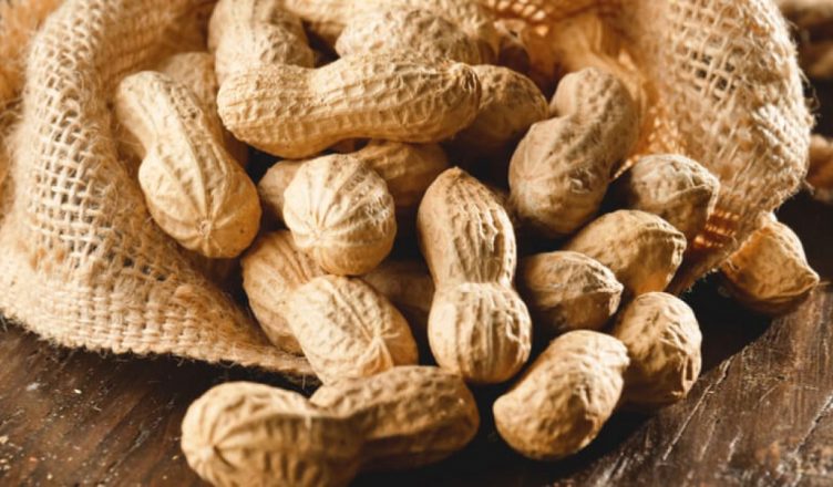 Peanut Benefits: आयुर्वेदिक औषधि से कम नहीं है मूंगफली, सर्दियों में रोज करें इसका सेवन