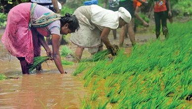 Uttar Pradesh: महिलाएं बनेगी किसानों की मददगार