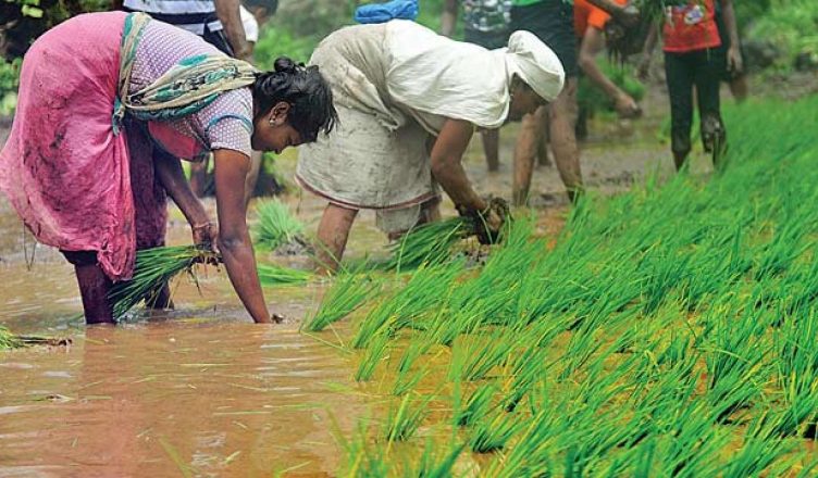 Uttar Pradesh: महिलाएं बनेगी किसानों की मददगार
