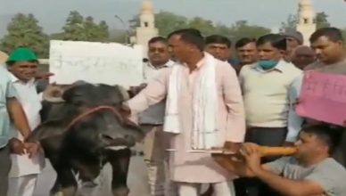 Farmers Protest: कृषि कानूनों का विरोध प्रदर्शन करते हुए युवक ने भैंस के आगे बजाई बीन, देखें Viral Video